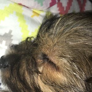 Meet your Posher, Kaylah